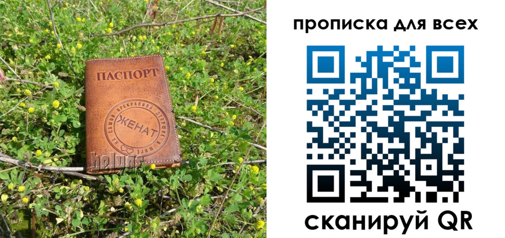 прописка поиск в Берёзовском